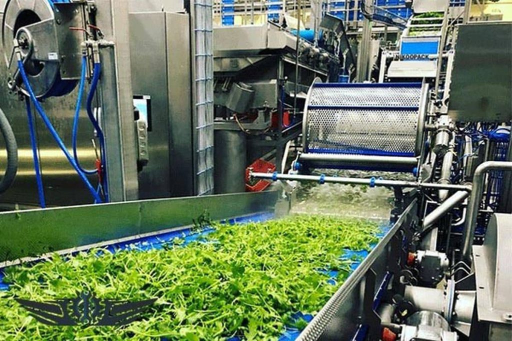 دستگاهشستشویسبزی1