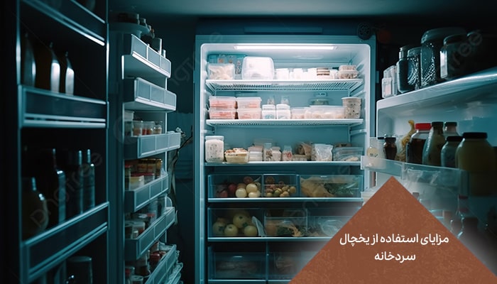 یخچال سردخانه 1 راه حلی برای حفظ تازگی 1 مزایای استفاده از یخچال سردخانه
