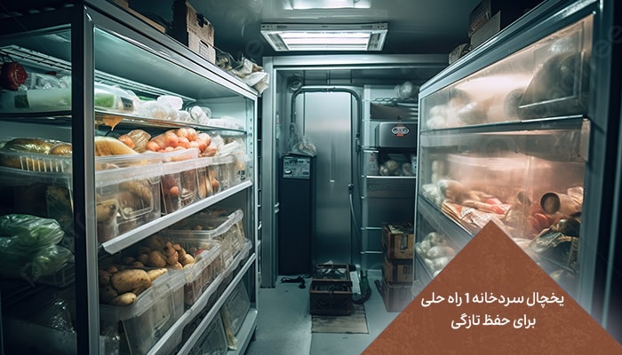 یخچال سردخانه 1 راه حلی برای حفظ تازگی