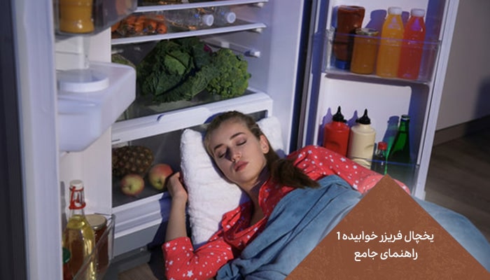 یخچال فریزر صندوقی 1 راهنمای جامع 4 یخچال فریزر صندوقی 1 راهنمای جامع